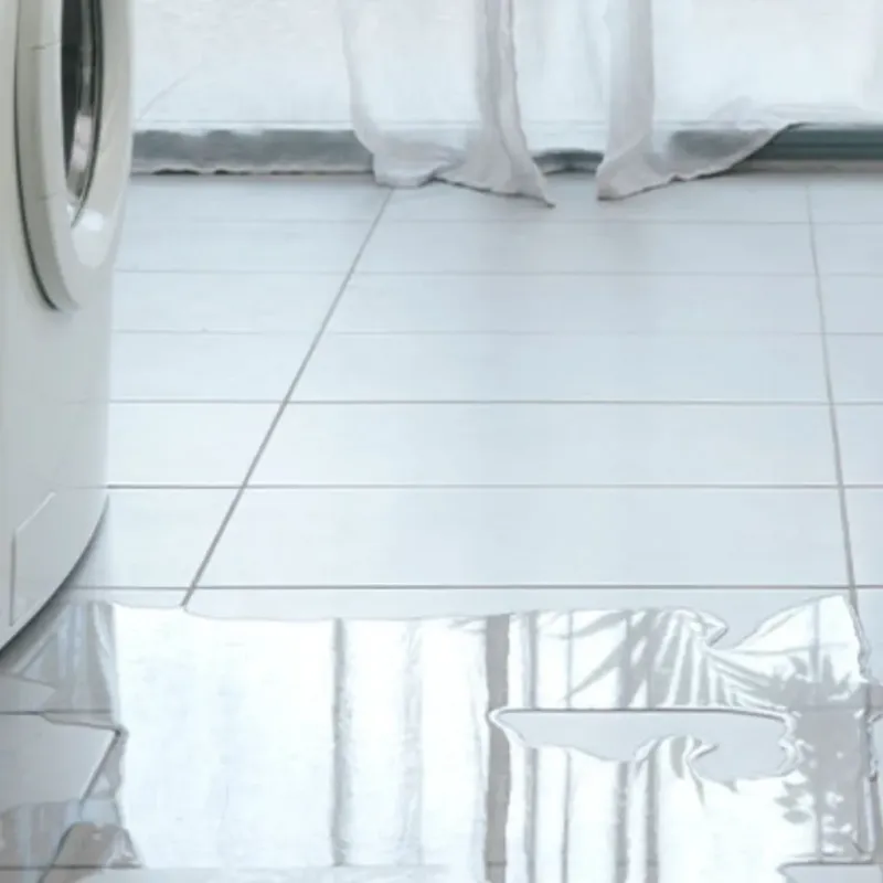 Appliance Leak Cleanup in Castro County, TX