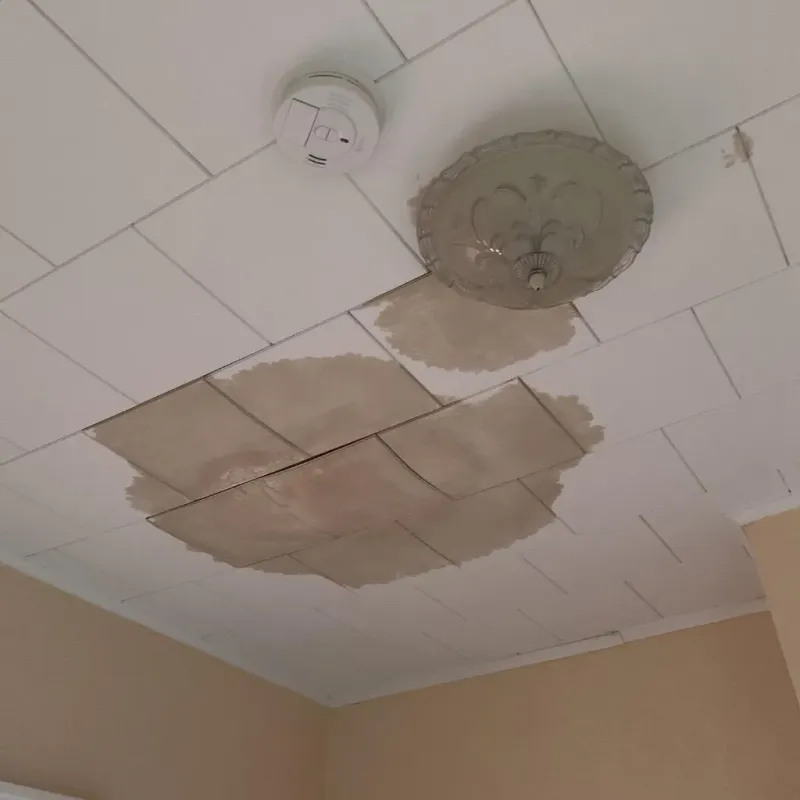 Ceiling Water Damage Repair in Castro County, TX