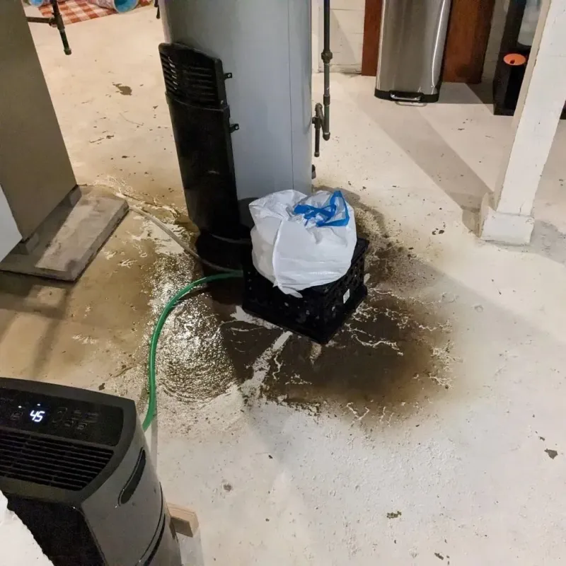 Sewage Backup Cleanup Service in Castro County, TX